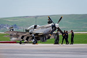 P-51 Mustang LVS00020